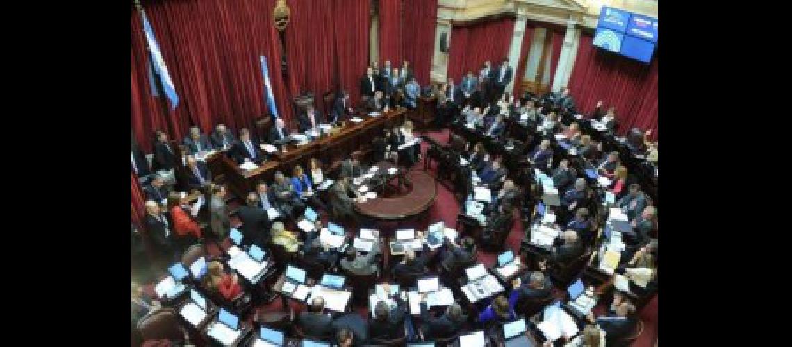 senado