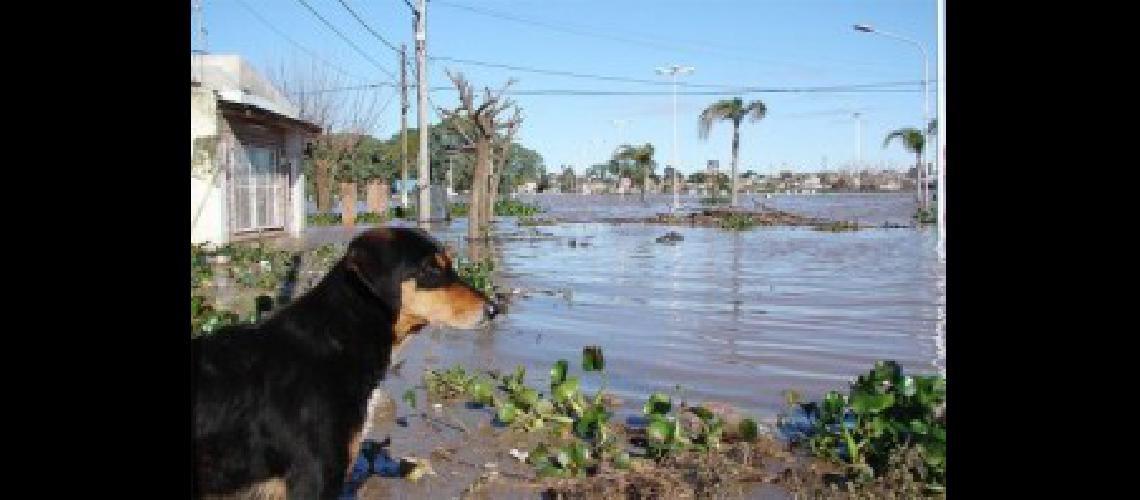 inundaciones