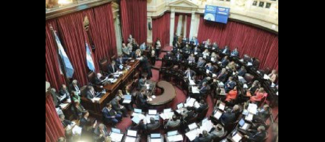 senado