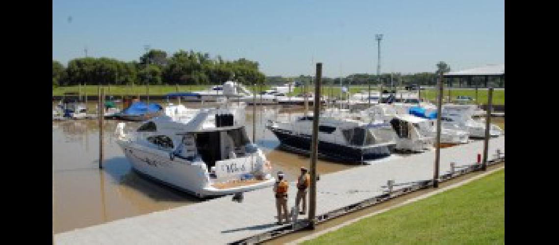 yates tigre