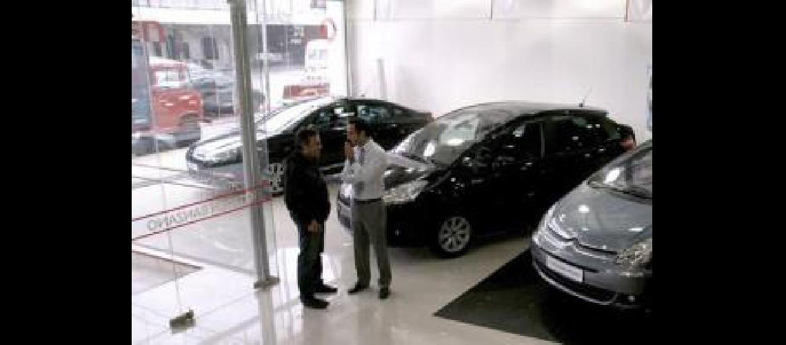 procreauto 1