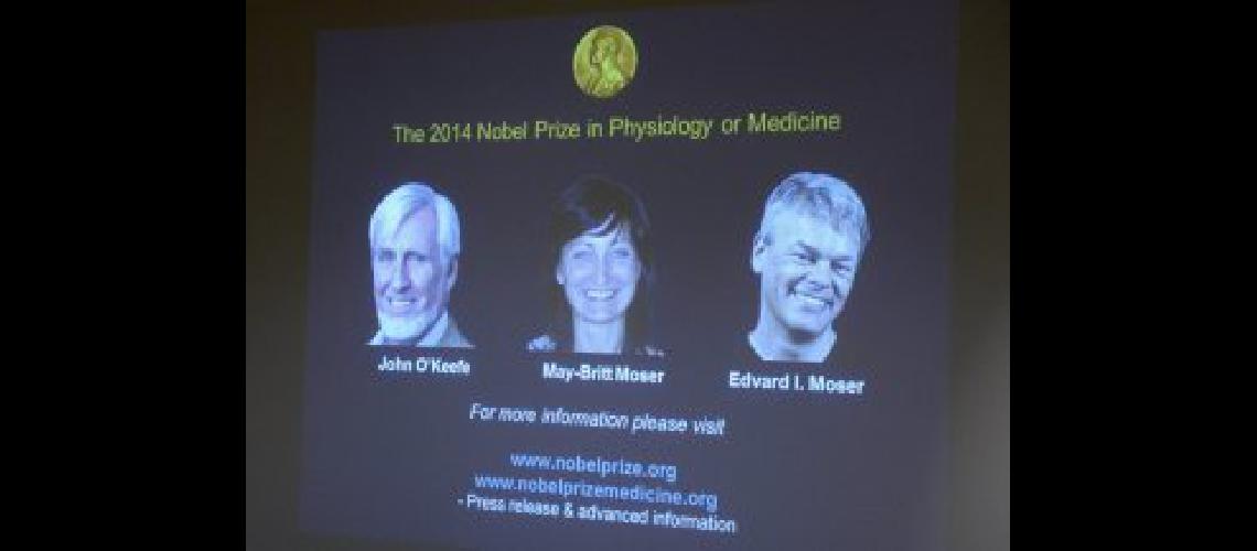 nobel medicina