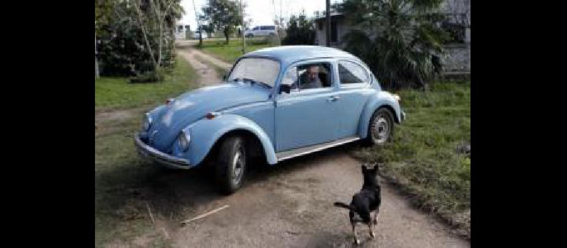 mujica escarabajo