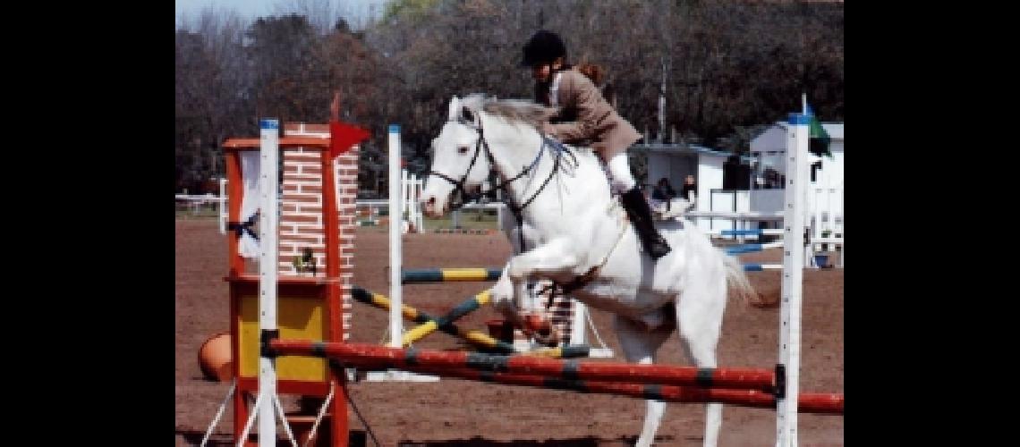 equitacion