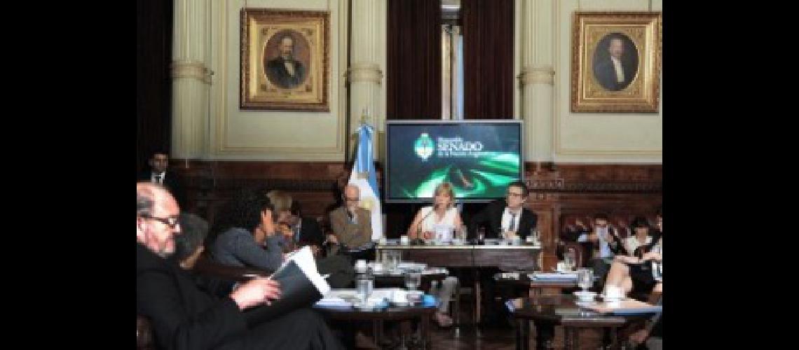 senado 1