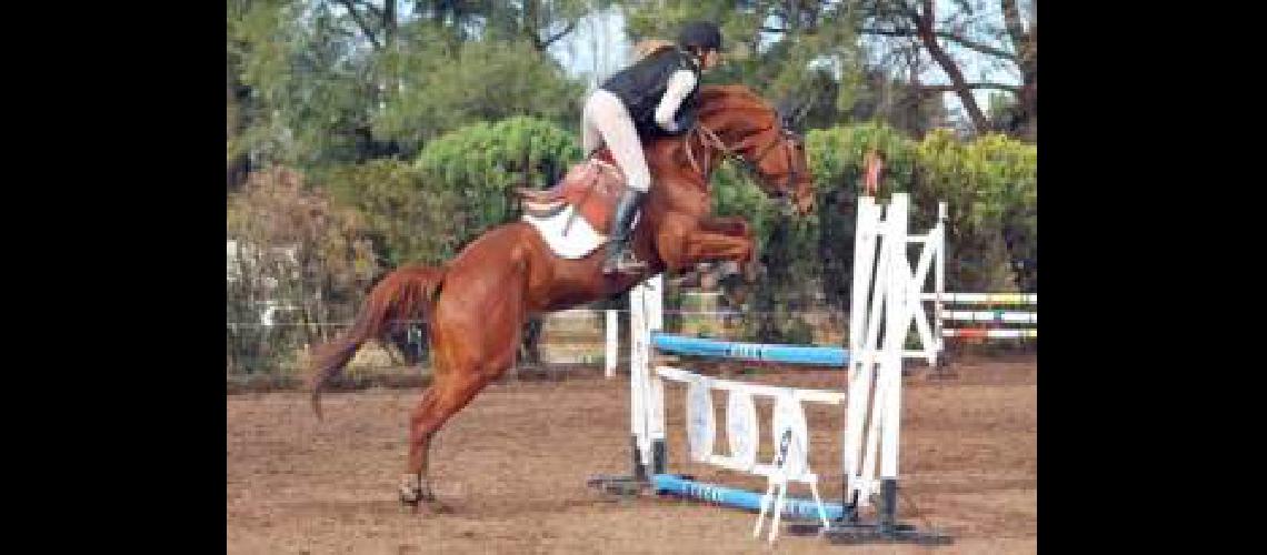 equitacion