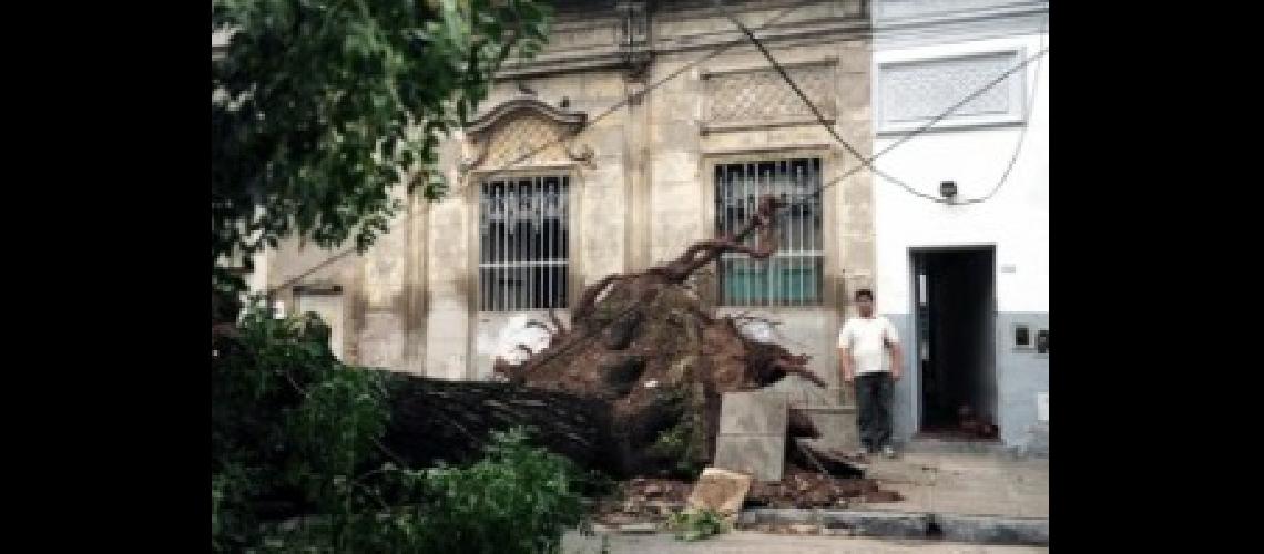 temporal 1