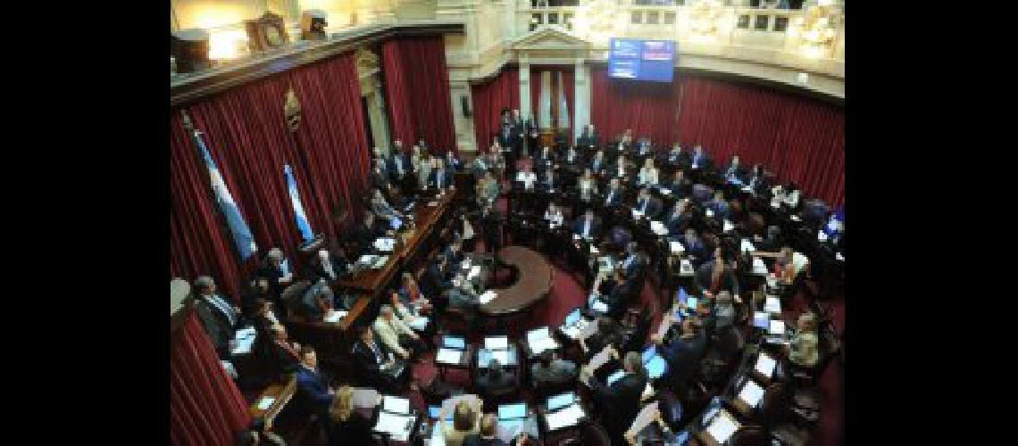 senado
