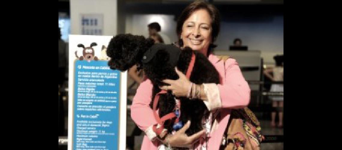 mascota aerolineas