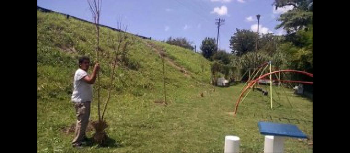 P3 Turdera se plantaron _rboles en la Plaza Santa Mar_a de los Ni_os (1)