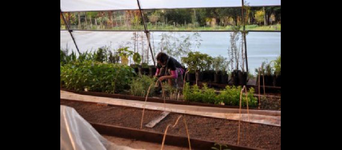 P3 Estaacute abierta la inscripcioacuten para los cursos de agricultura urbana (1)