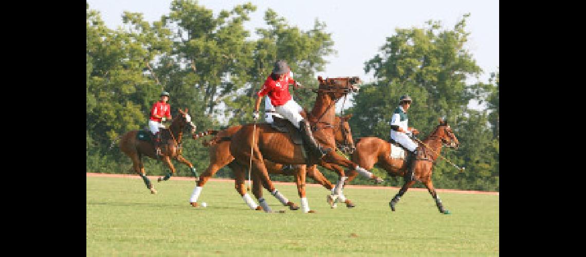 POLO (1)