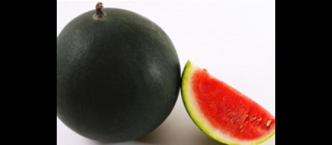 sandia