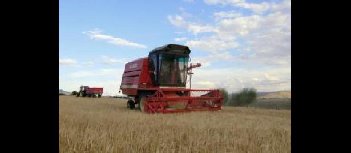 campo