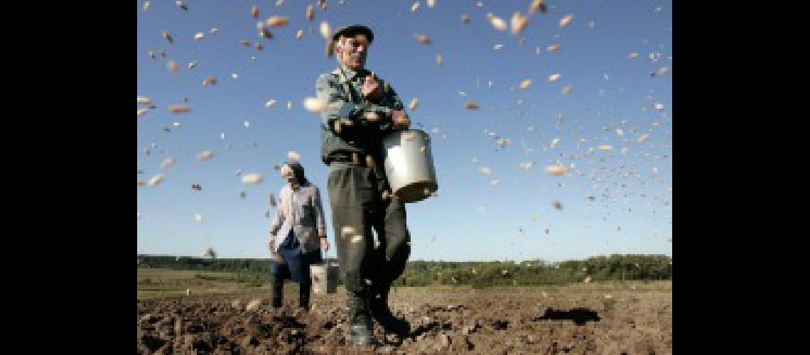 agricultora
