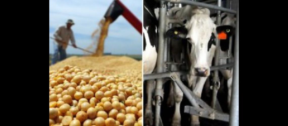 granos y leche