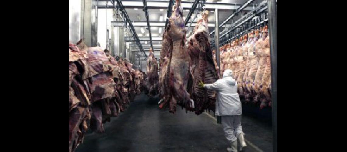 carnes