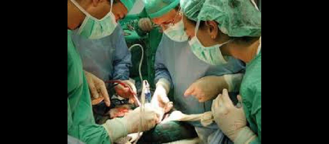 transplante