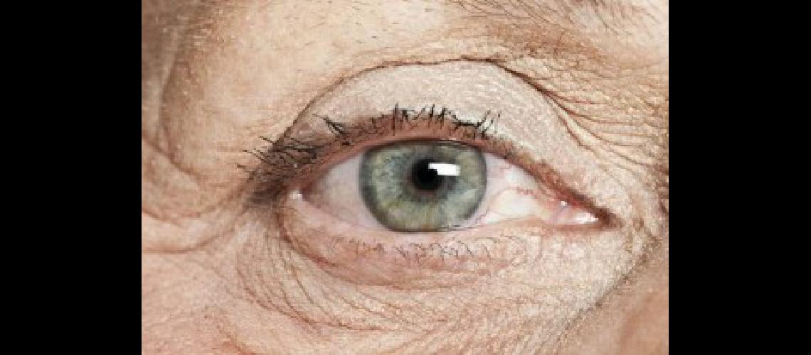 ojos