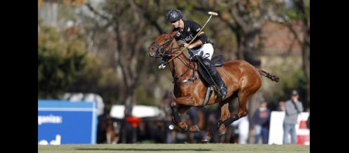 polo (2)
