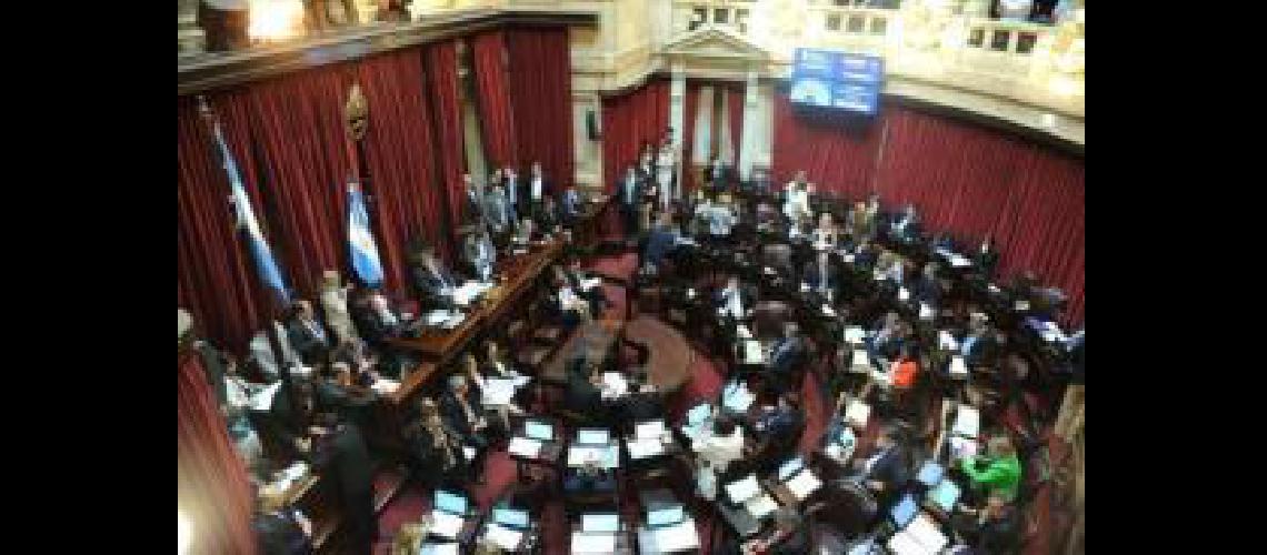 senado