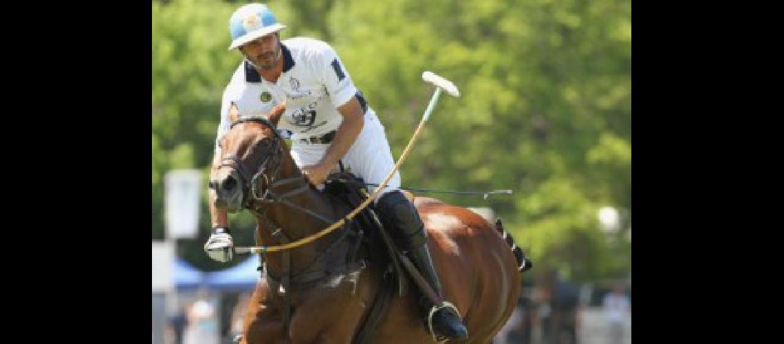 POLO (3)