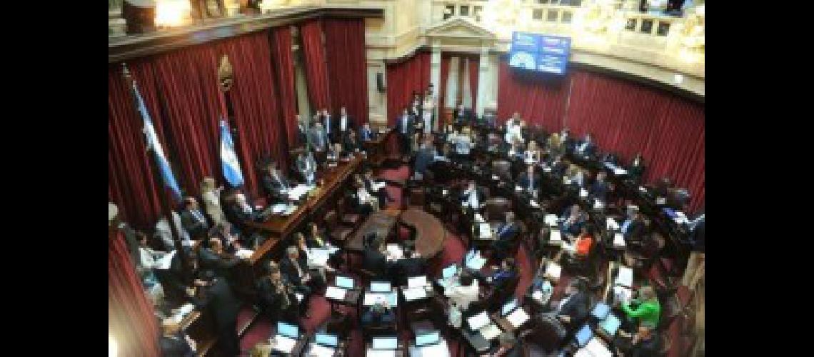 senado