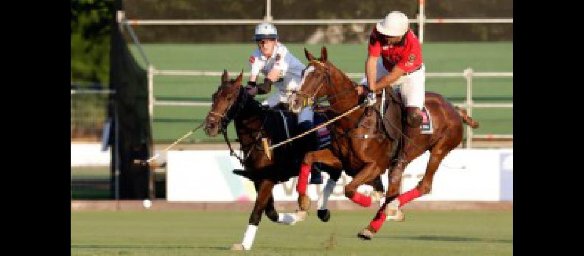 POLO