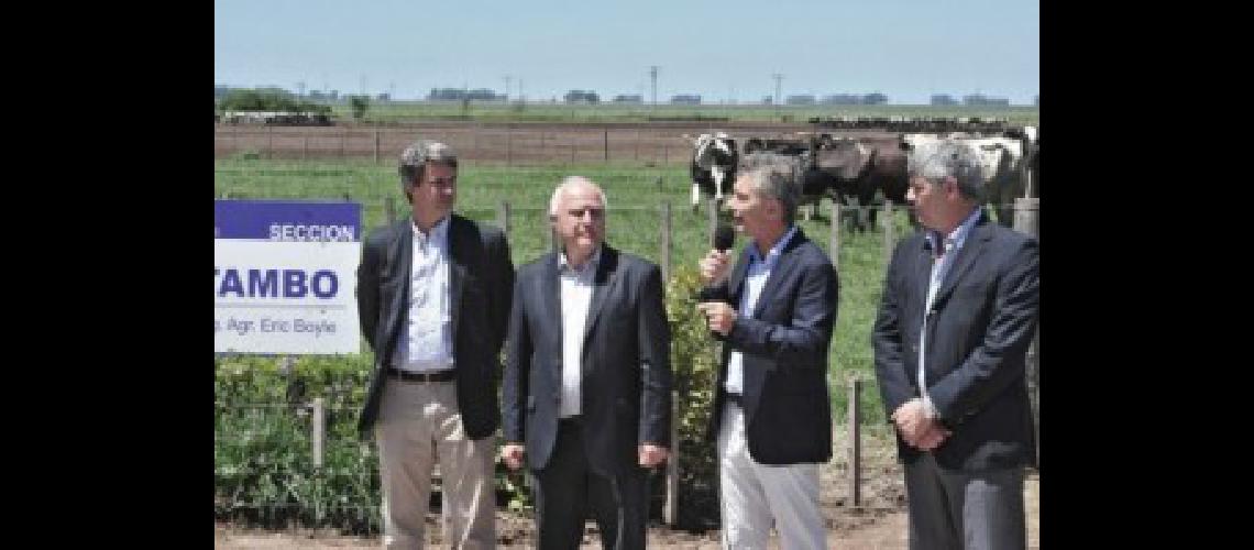 macri tamberos