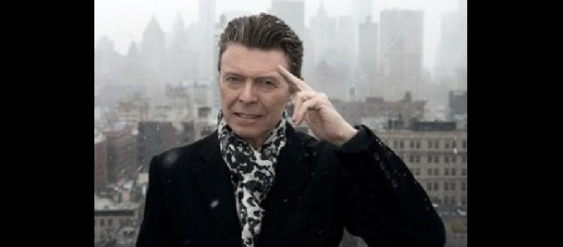 david bo