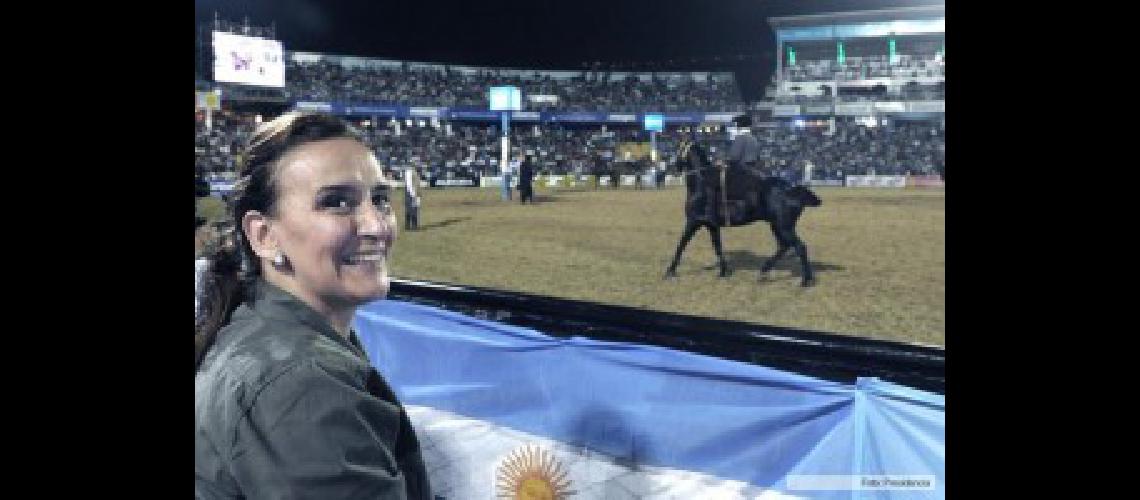 michetti 1
