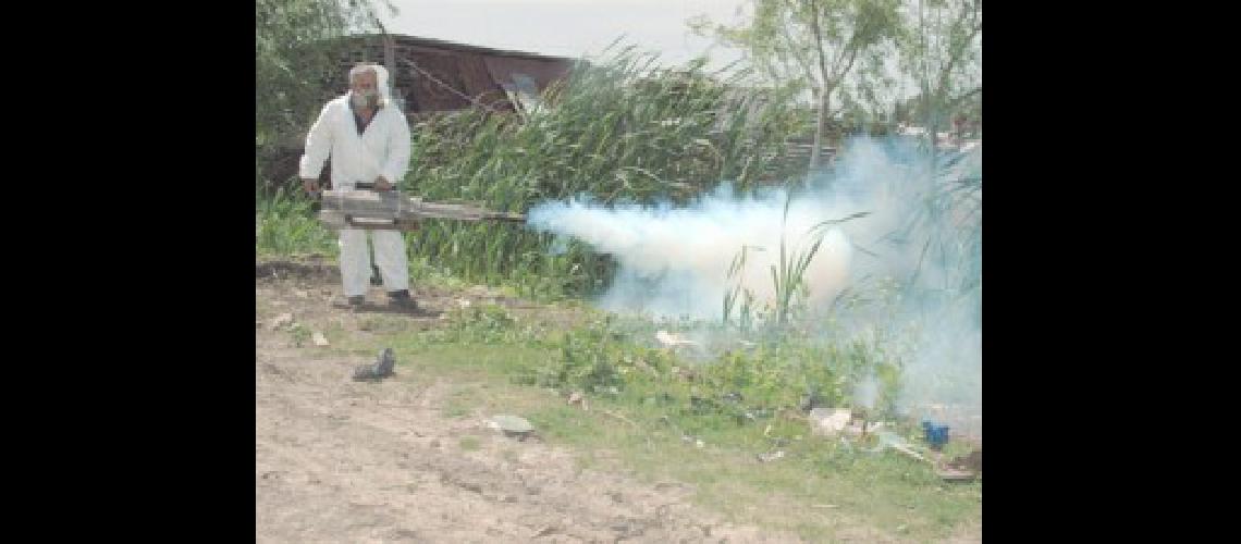 Confimaron maacutes de 20 casos de dengue en la regioacuten