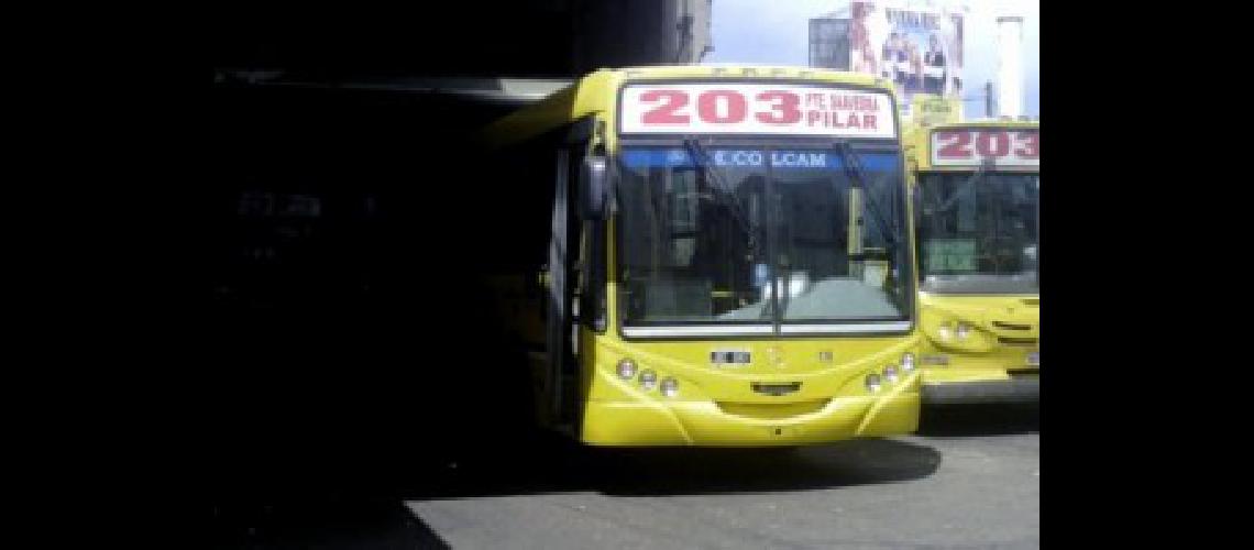 linea 203