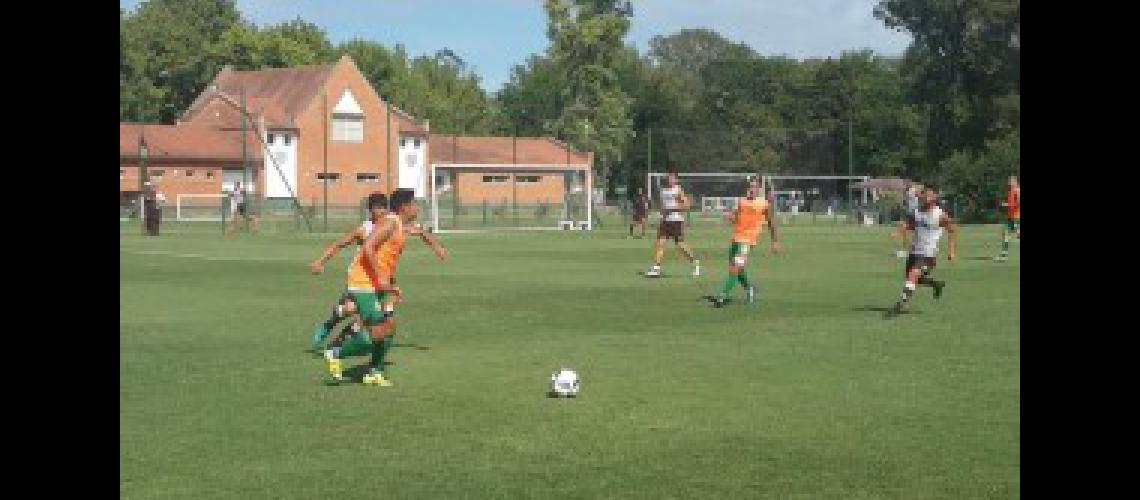 banfield