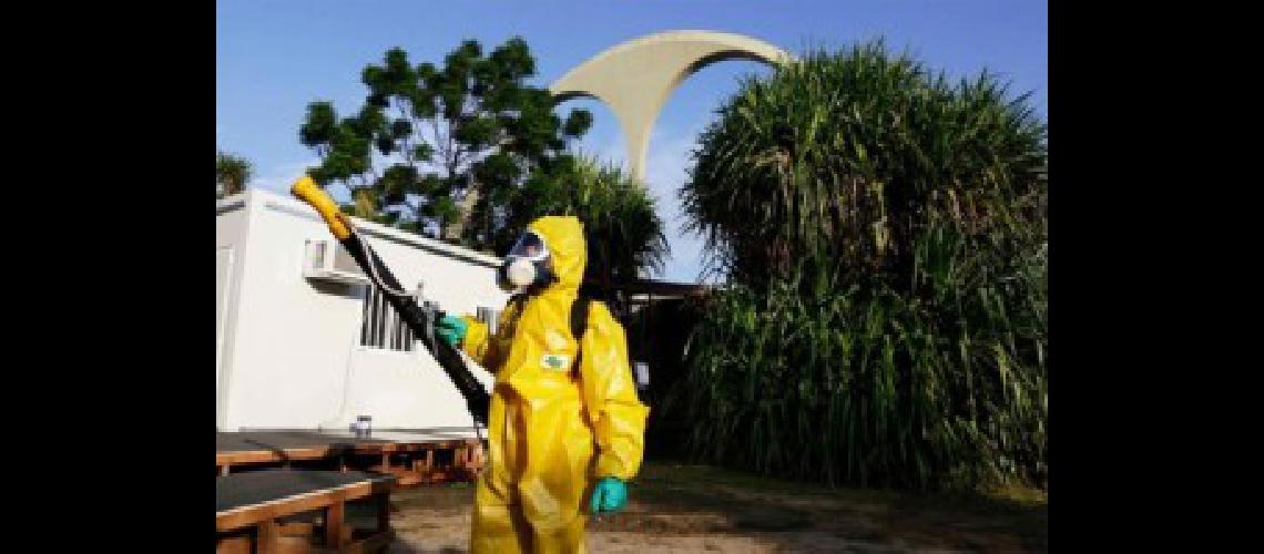 dengue zika