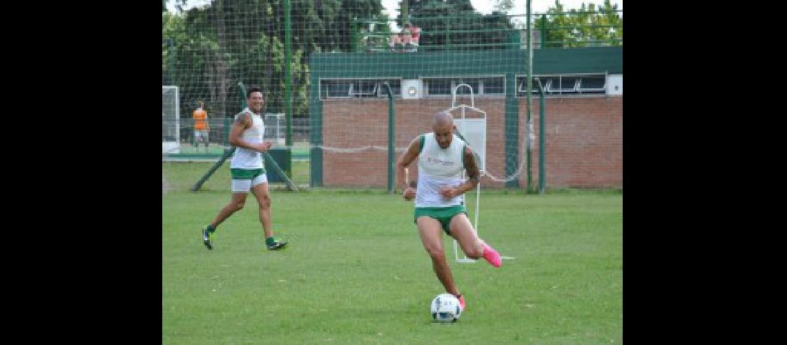 banfield copia