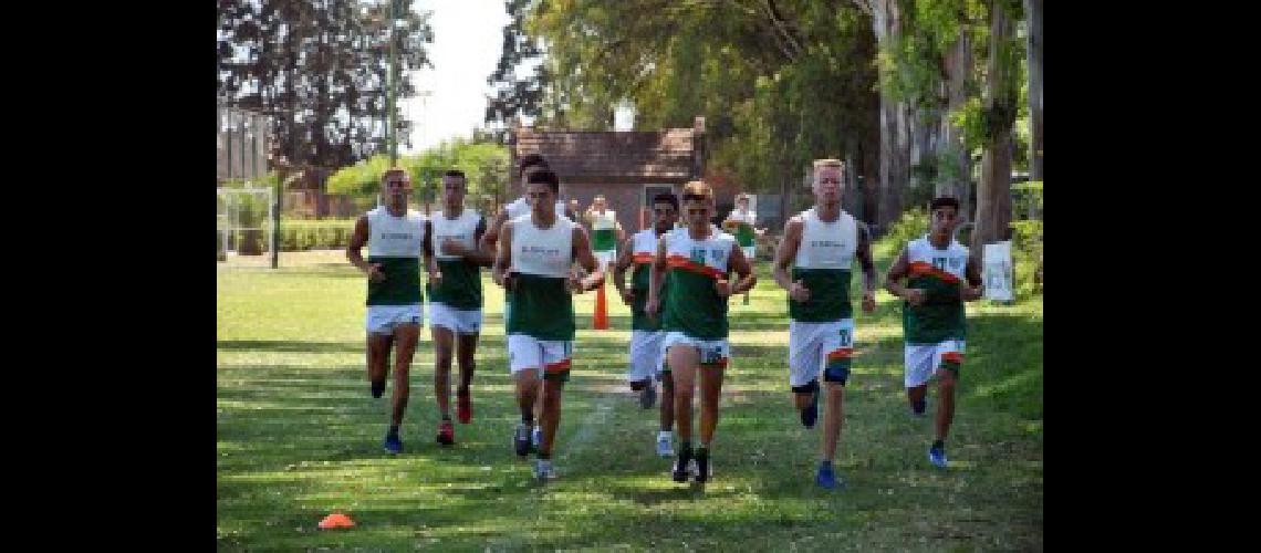 banfield 1