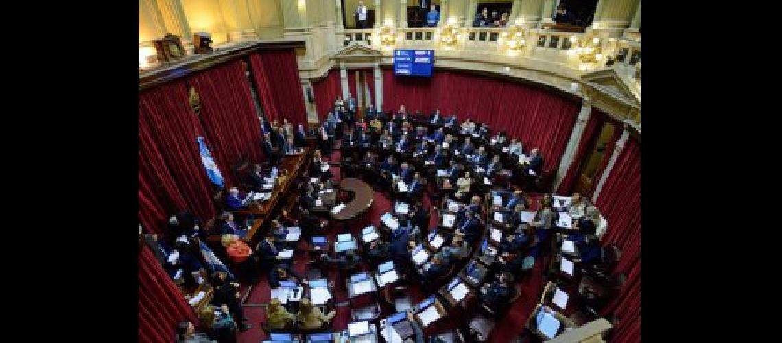 senado