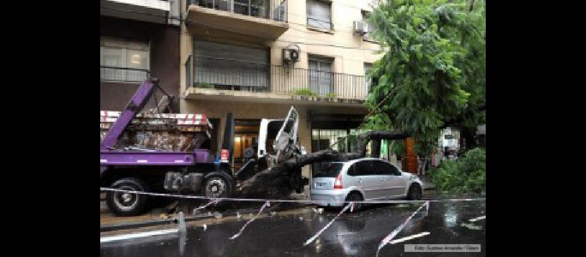 camion arbol