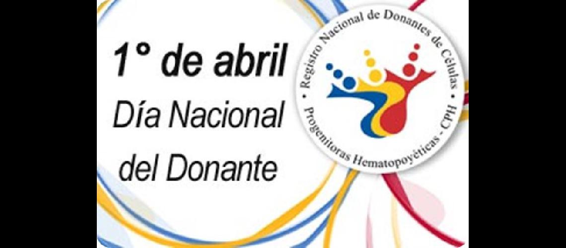 donante medula osea