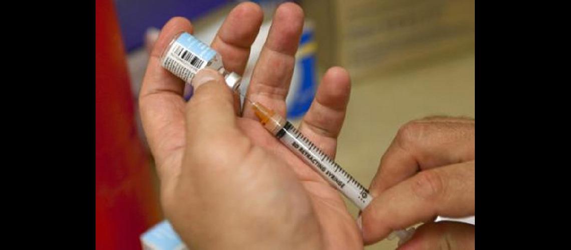 breve vacuna dengue
