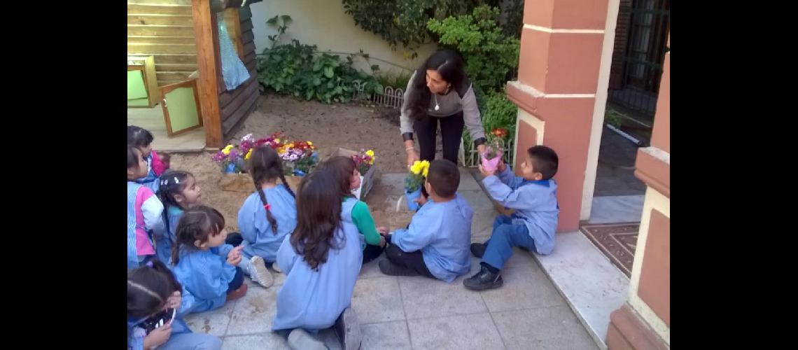 Plantemos Juntos un Arbolito