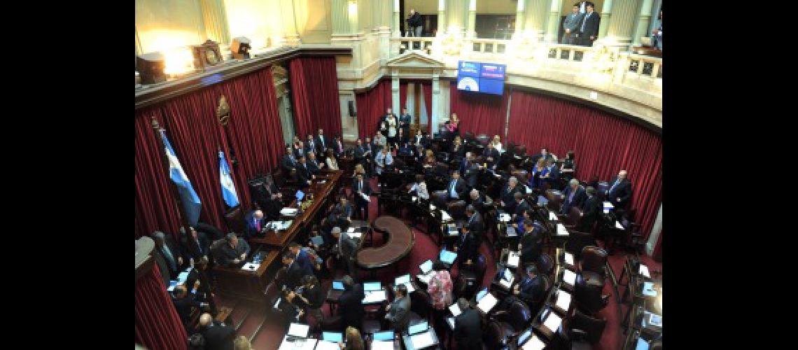 senado 1
