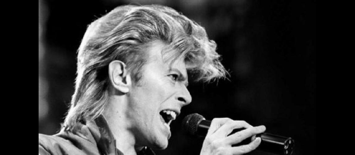 bowie