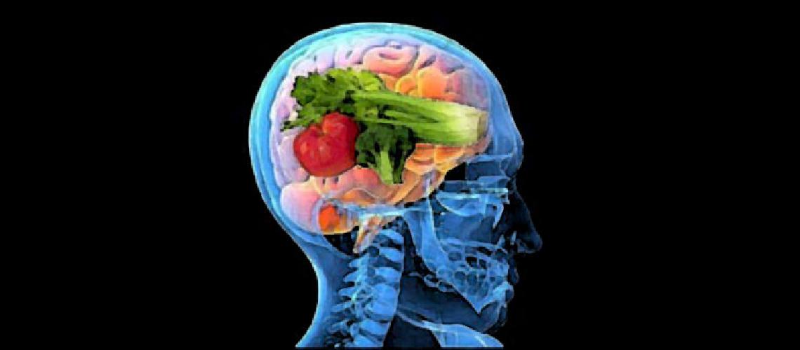cerebro nutrientes