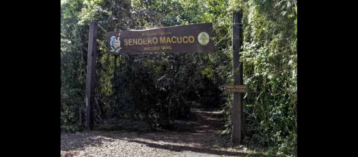 parque iguazu