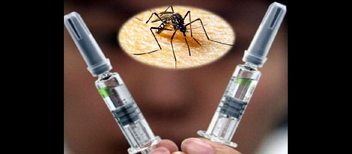 dengue-vacuna