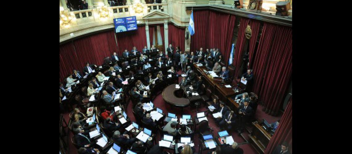 senado 3