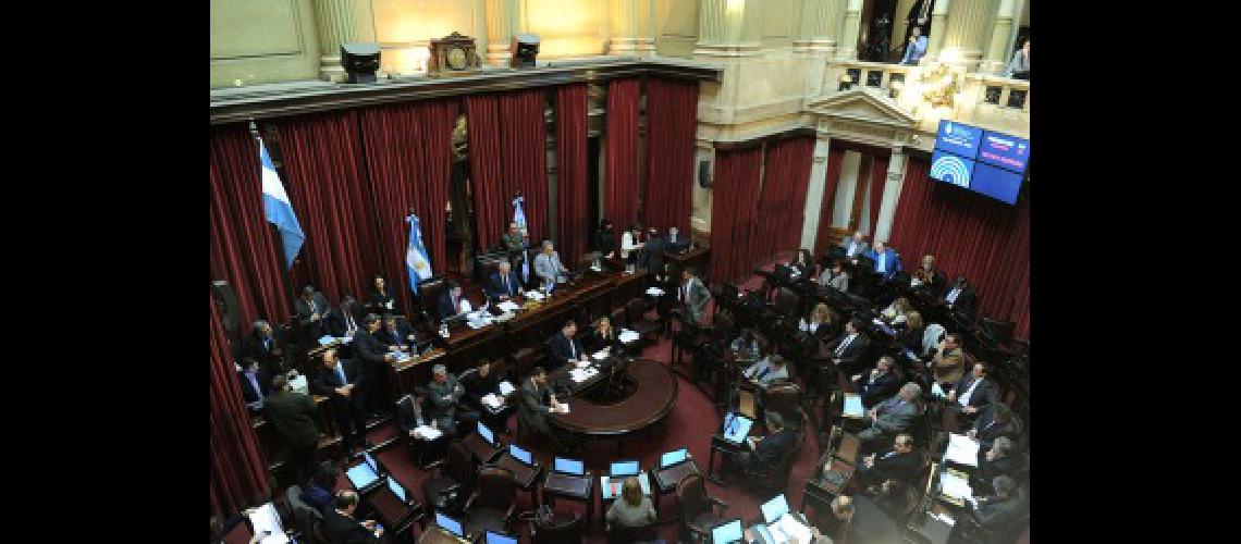 senado 4