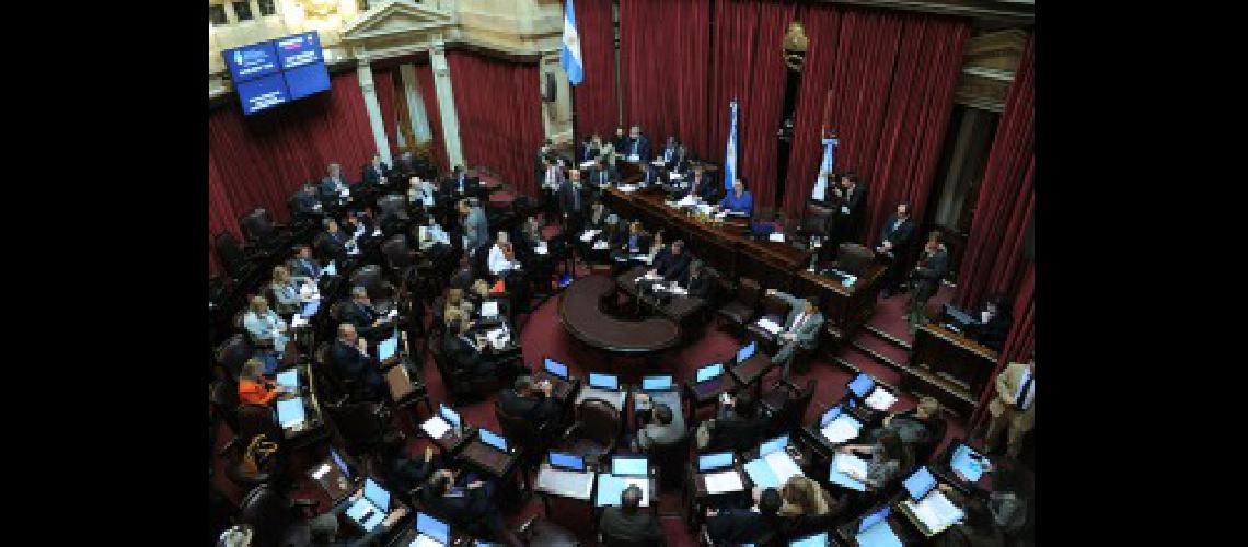 senado 5